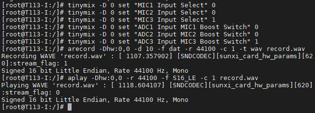 Record and playback using on-board microphone