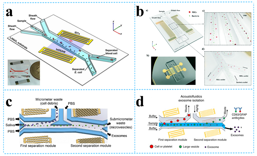 Rayleigh SAW particle separation for sample preprocessing