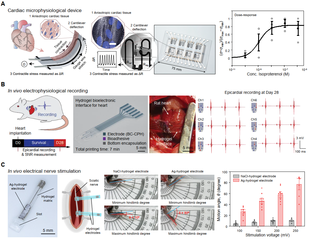 Implantable 3D-printed bioelectronic devices
