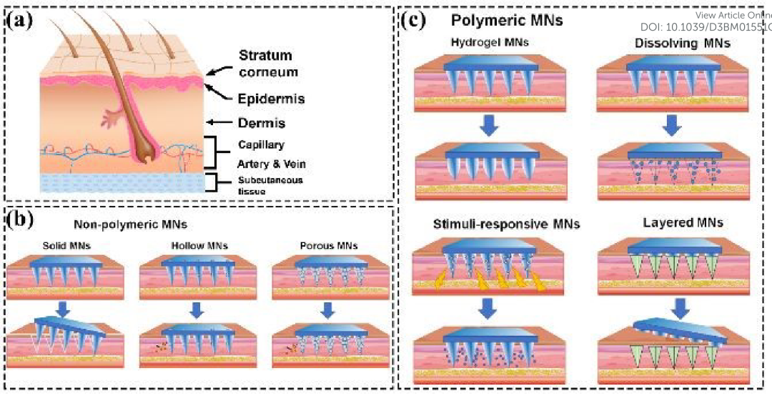 Microneedle classification, design, and fabrication