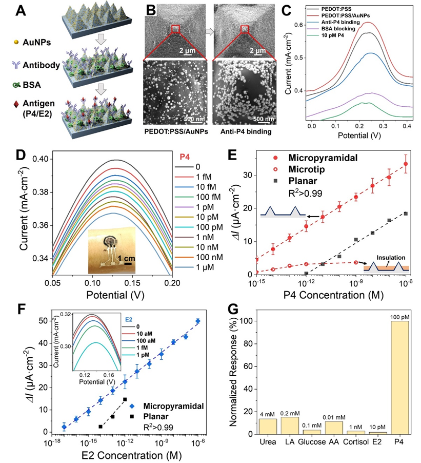 Fabrication, SEM, and DPV performance of AuNPs-modified micropyramid PEDOT:PSS electrodes