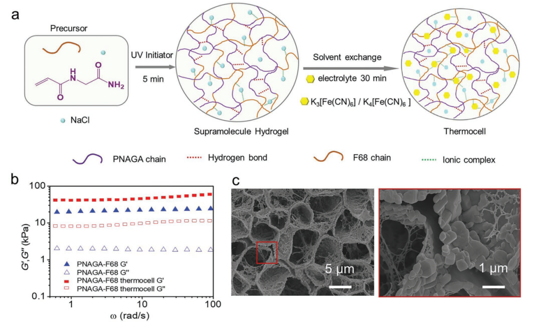PNAGA-F68 hydrogel schematic