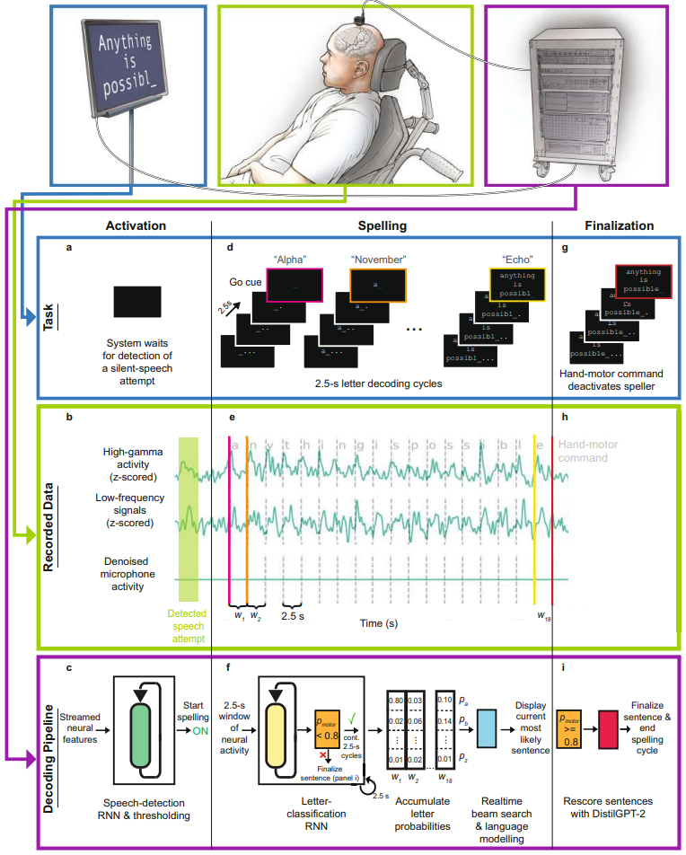 neural signal decoding workflow