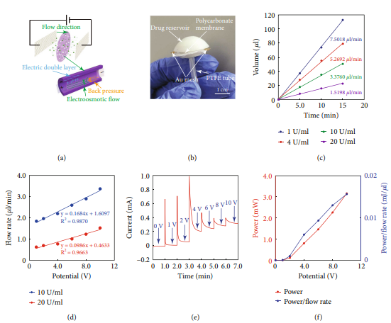 Electroosmotic micropump insulin release performance evaluation