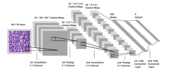 Convolutional neural network workflow for detecting visual classes in an image