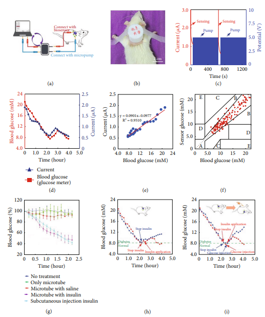 In vivo performance evaluation of the closed-loop system