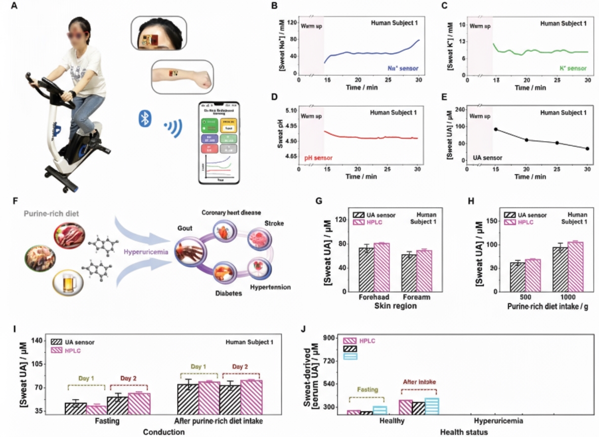 Validation of the dual-function fully integrated wearable tracker for dynamic on-site sweat monitoring and potential noninvasive hyperuricemia management