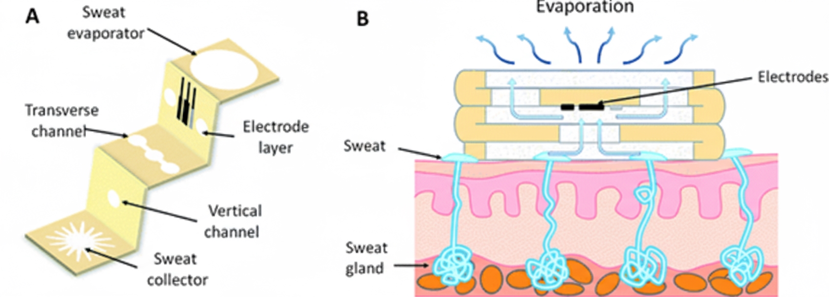 Schematic of 3D paper-based microfluidic electrochemical device (3D-PMED)