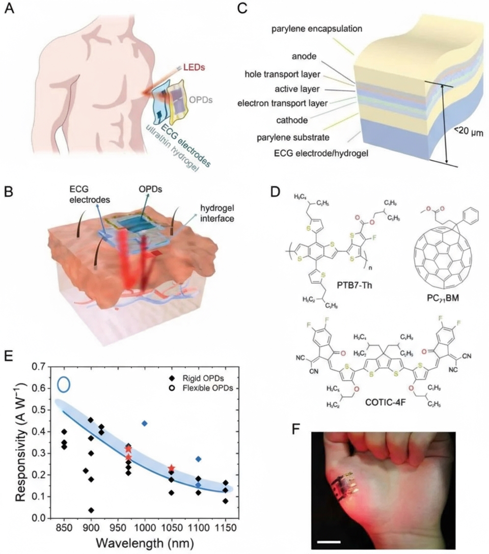 Skin-integrated PPG-ECG system design
