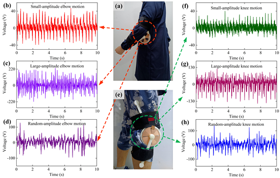 Human motion energy harvesting performance of wearable generator