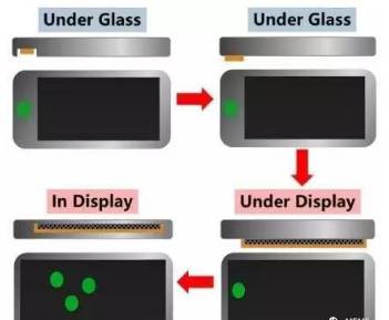 Fingerprint Recognition: Types and Principles