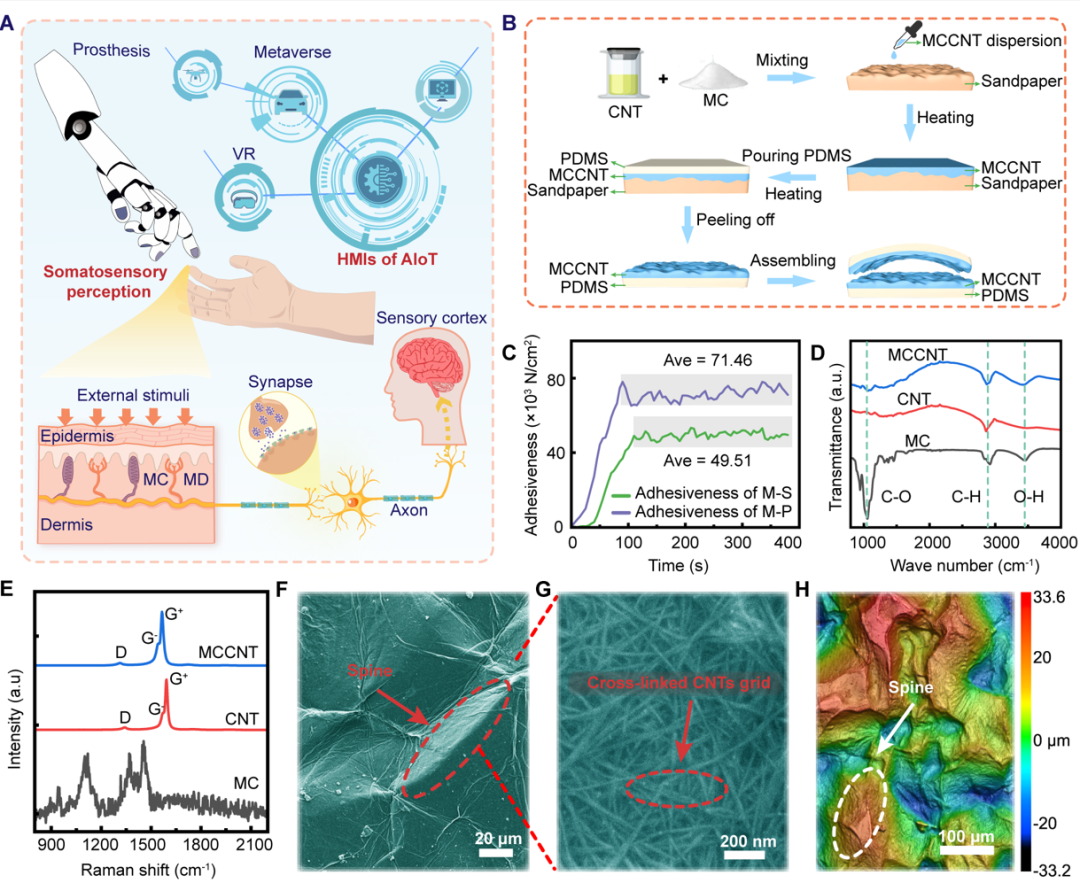 cross-scale_biomimetic_haptic_interface_diagram