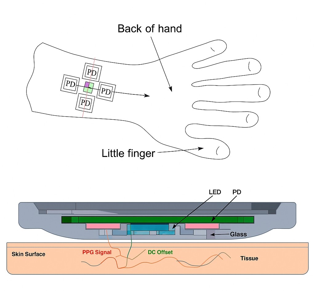 PPG Optical Path and Process Design for Wearable Devices