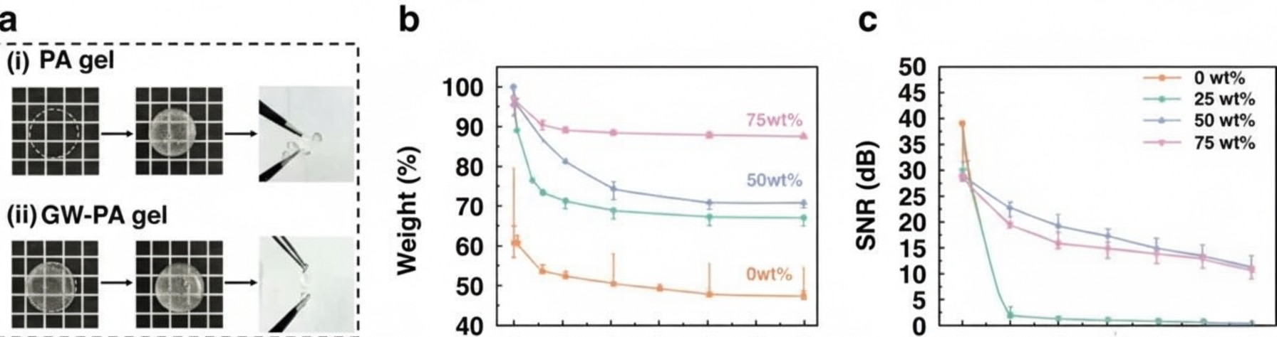 GW-PA-Ag electrode long-term stability