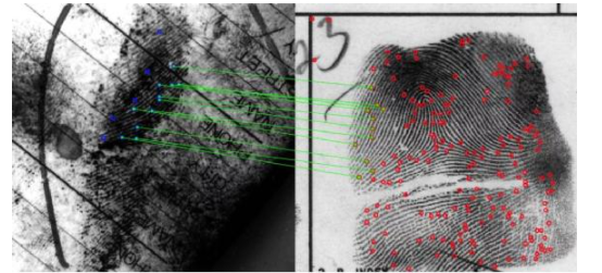 Balancing High Performance and Privacy in Biometric Systems