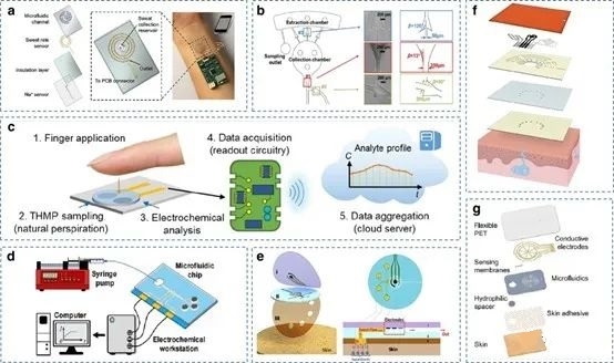 Wearable Sweat Sensors: Benefits and Applications