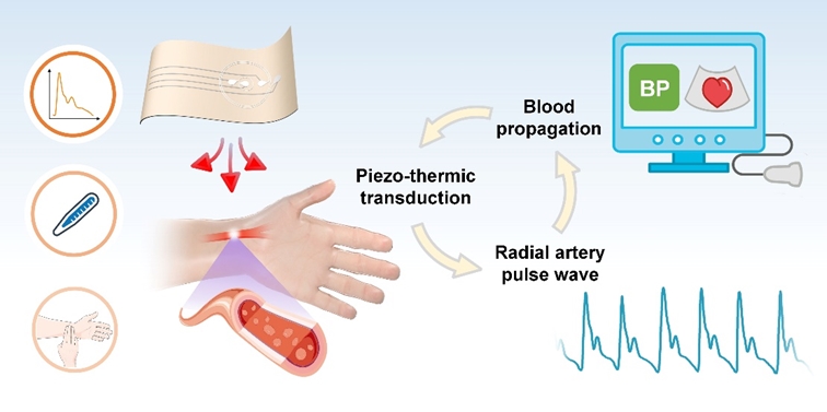 Flexible Multimodal Pulse Sensor for Continuous BP