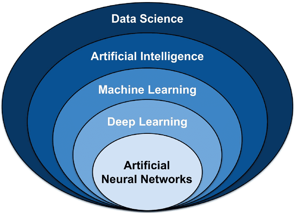 Core Principles of Major Machine Learning Models