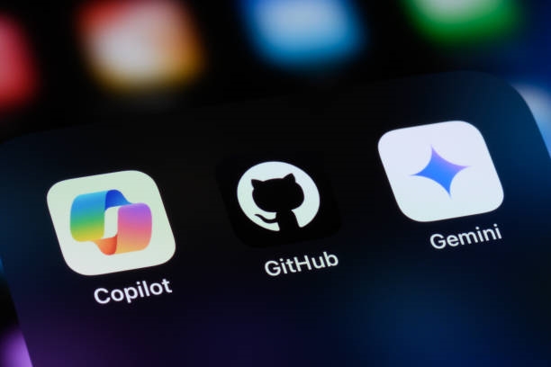 Will Gemini Disrupt the Large Model Market?