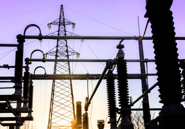 Grid Harmonics and Power Quality Effects