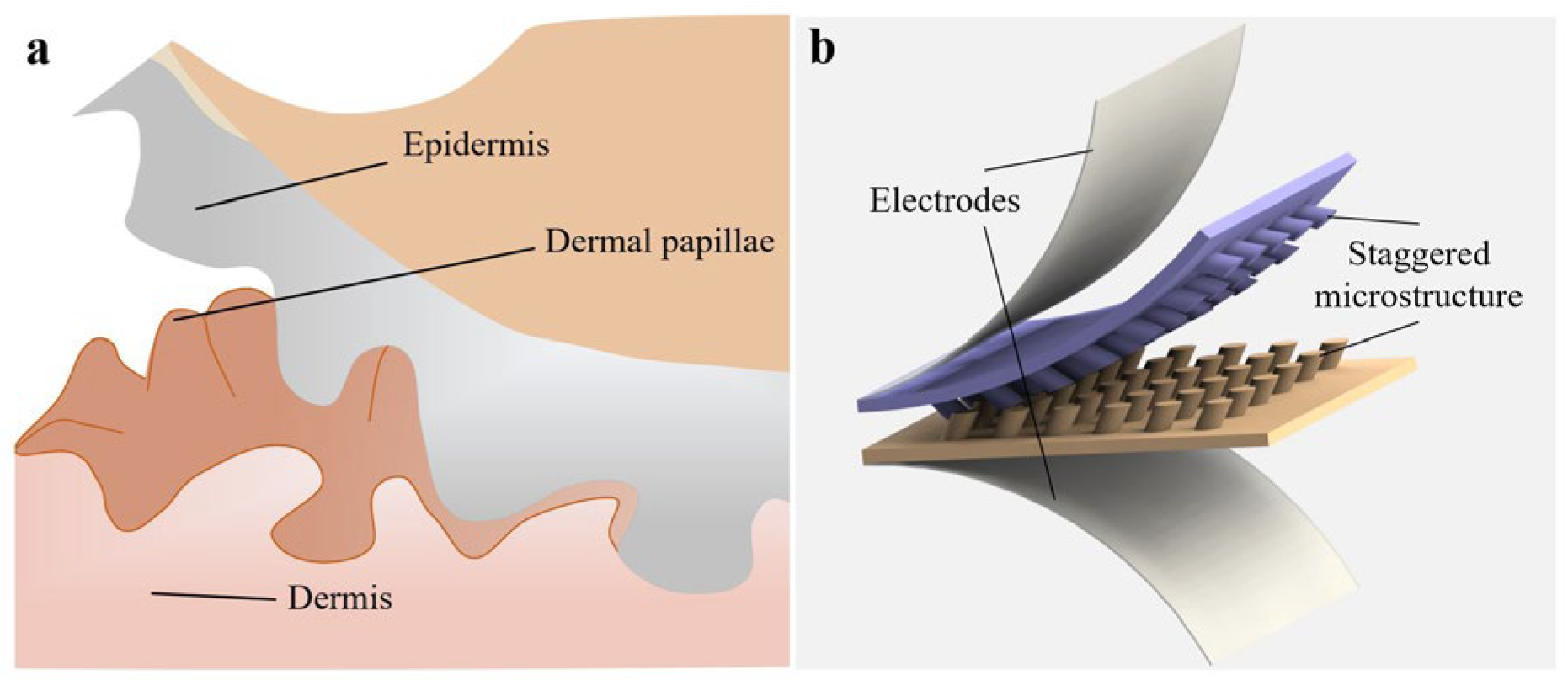 Ultra-Sensitive Flexible Temperature Sensor Inspired by Human Skin