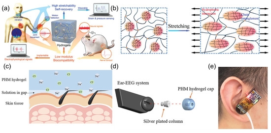 Practical Challenges and Solutions for Bioelectric Measurements