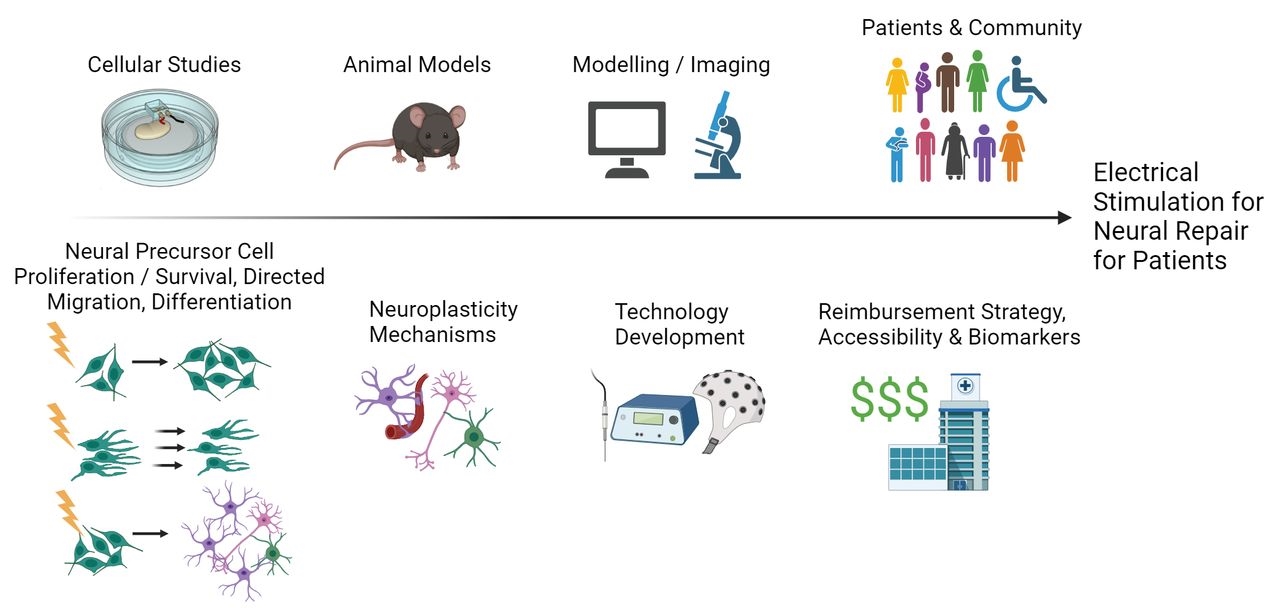 Development of Neural Stimulators: History and Directions