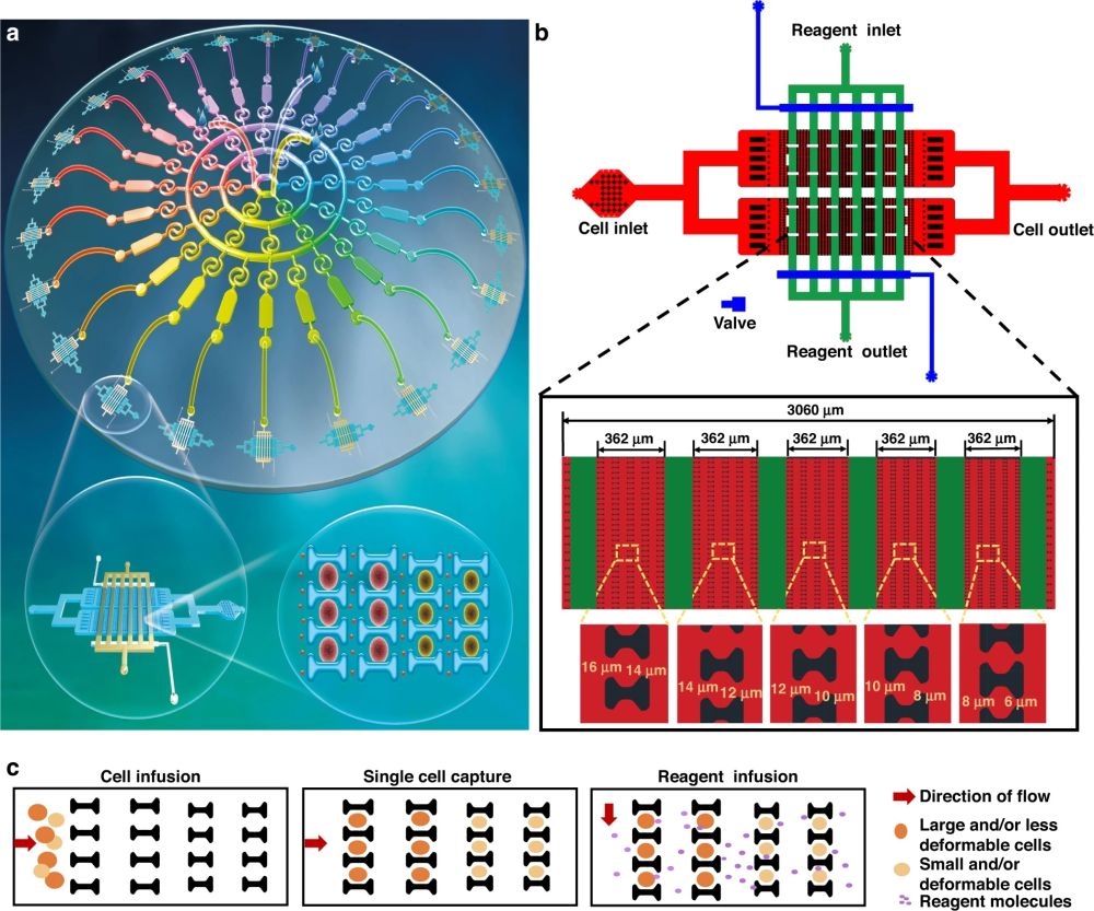 Multichannel Anticoagulant Drug Screening Detector Design