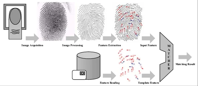 How fingerprint image acquisition works