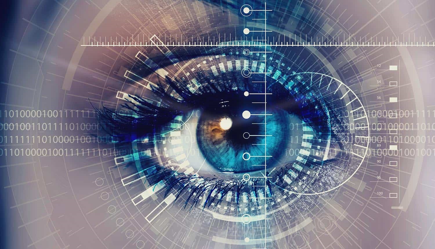 Iris Recognition: Principles and System Overview