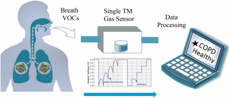 Taiwan-developed gas sensor passes human trial