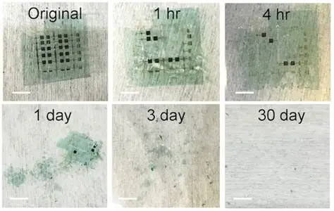 From Concept to Compost: Designing a Fully Biodegradable Electronic Device