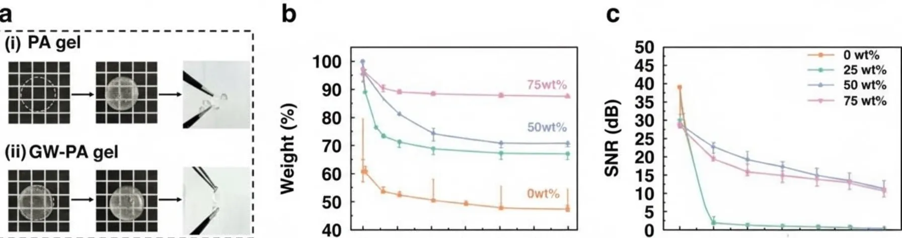 GW-PA-Ag electrode long-term stability