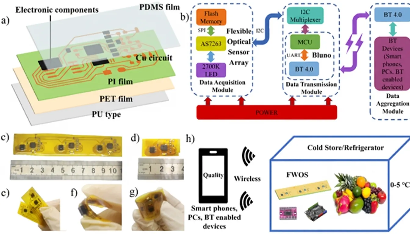 Flexible Wearable Optical Wireless Sensor for Fruit Quality