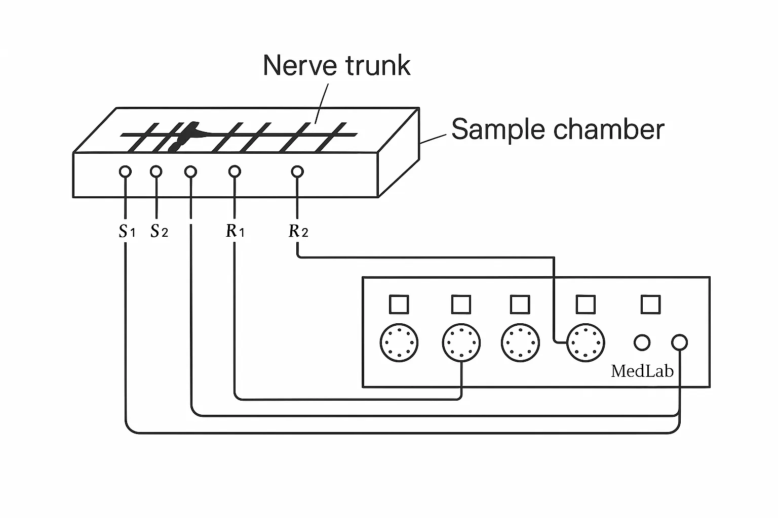 nerve-action-potential-setup