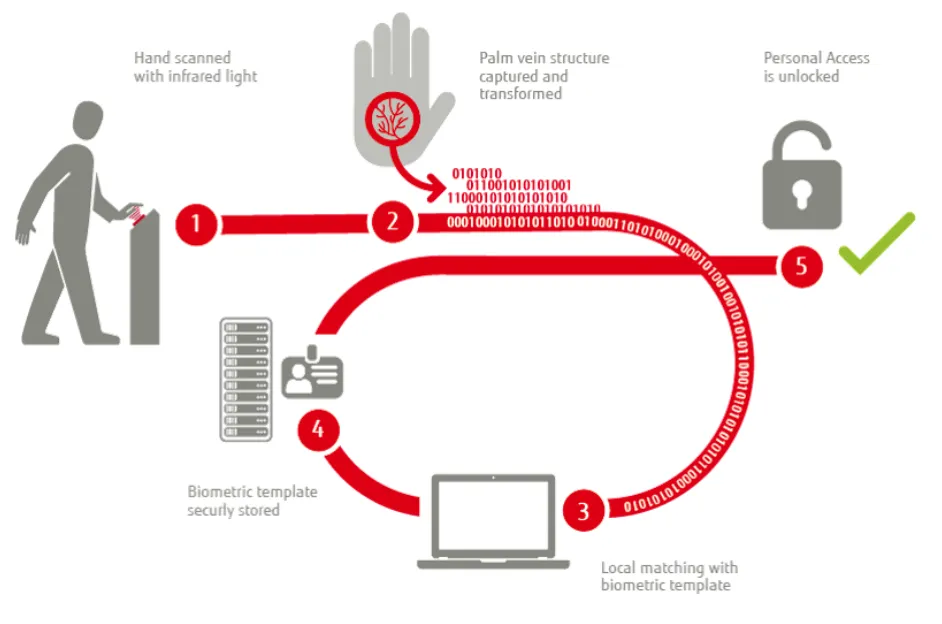 Fujitsu PalmSecure system diagram
