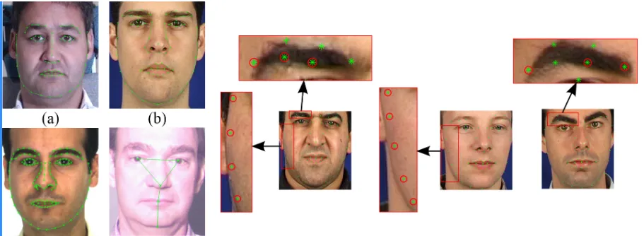 68_facial_landmarks