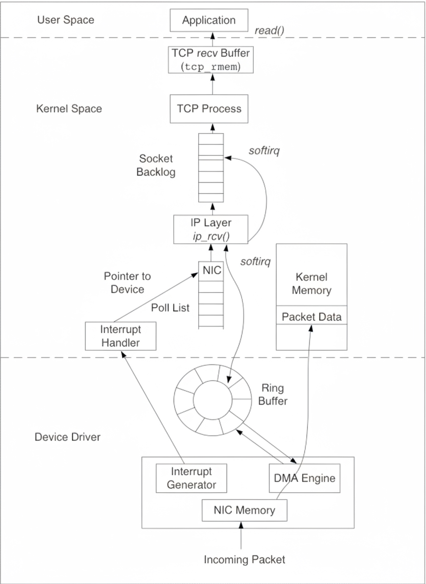Packet receive path: NIC, kernel, user space