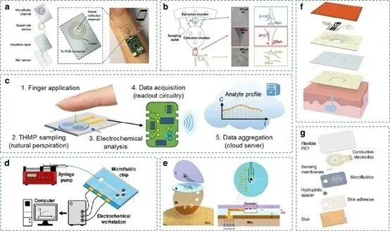 Wearable Sweat Sensors: Benefits and Applications