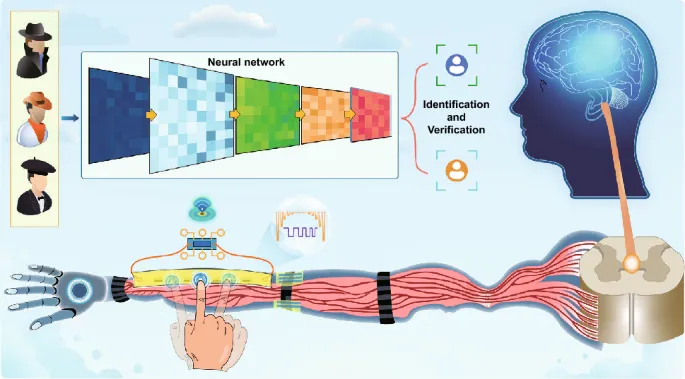 Multifunctional Tactile Sensors and Integration Strategies
