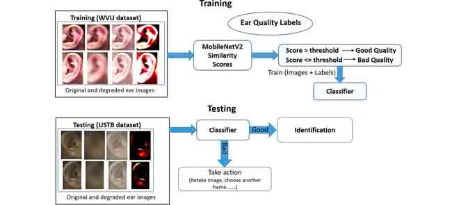 Deep Learning-Based Ear Recognition Overview