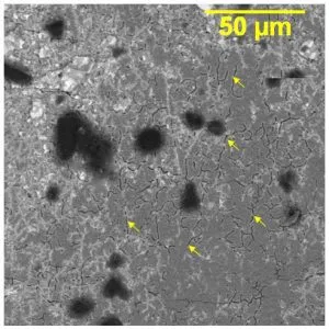Black Pad Defect Microscope View