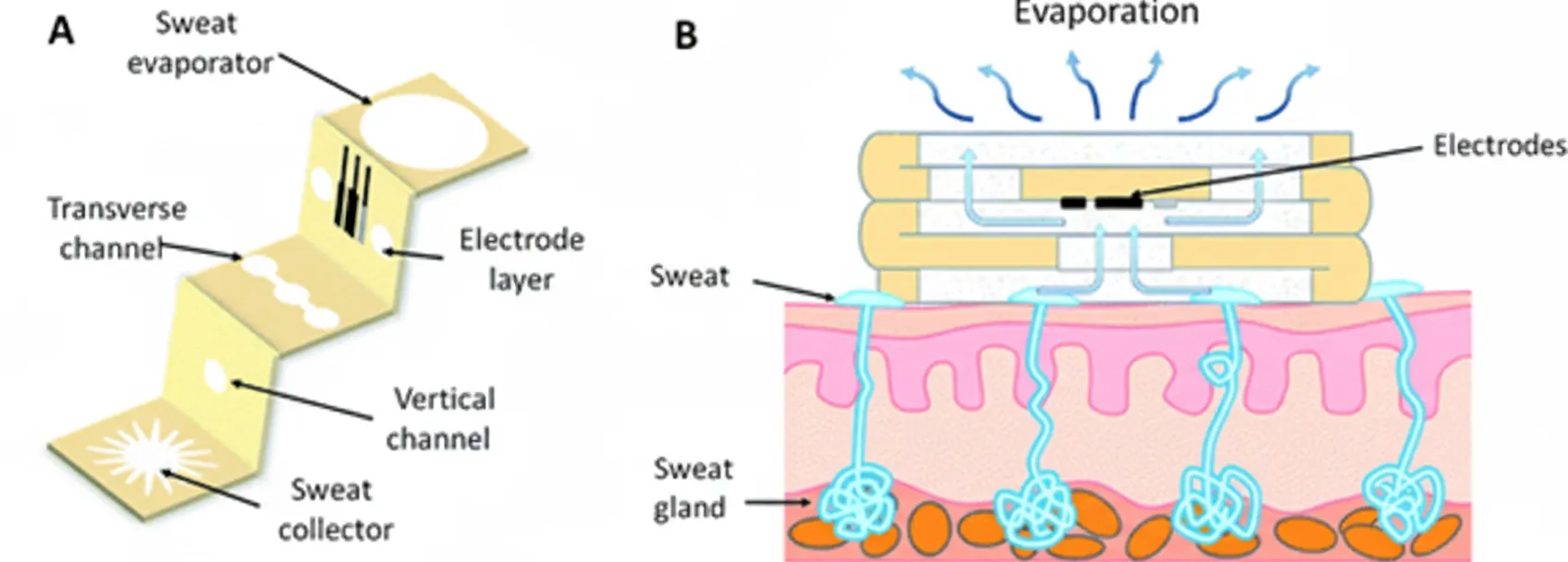 Schematic of 3D paper-based microfluidic electrochemical device (3D-PMED)