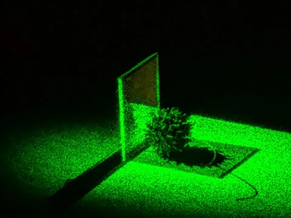 Reflection hologram example