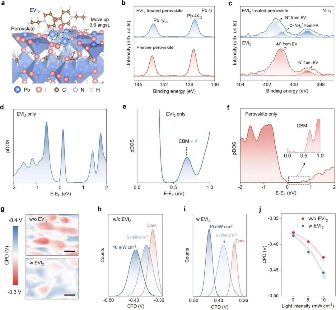 EVI2 interaction with perovskite