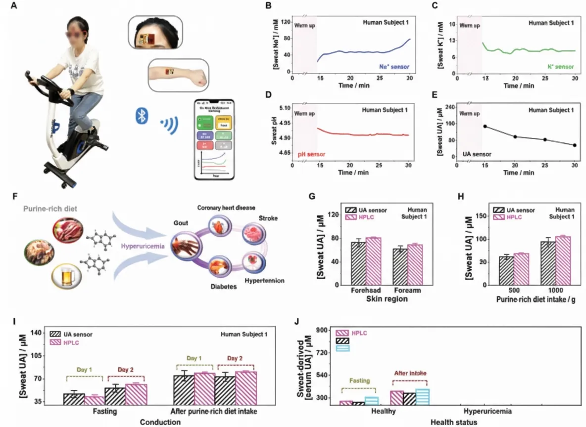 Validation of the dual-function fully integrated wearable tracker for dynamic on-site sweat monitoring and potential noninvasive hyperuricemia management