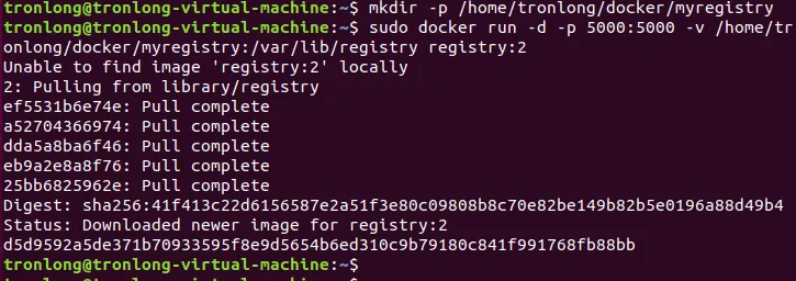 Start registry container