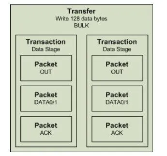 Figure 3 Bulk transfer structure