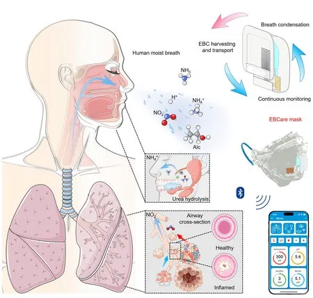 wearable breath analysis