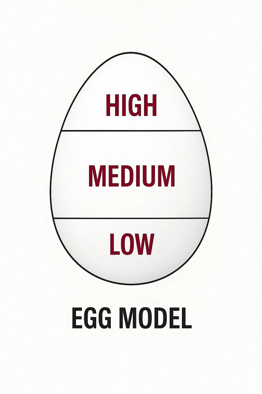 egg model